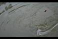 IMG 2338