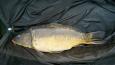Spiegel 7 kilo links 07042016