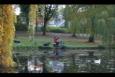 IMG 6046