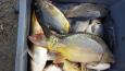IMG-20170218-WA0015