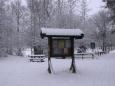 Img 0220