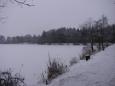 Img 0222