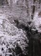 Img 0243