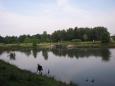 Img 0853