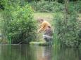 IMG 6247
