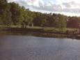 IMG 0156 (Large)