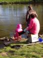 IMG 0158 (Large)