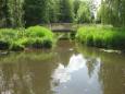 IMG 1146 (Small)