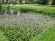 IMG 1147 (Small)