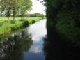 IMG 1183 (Small)