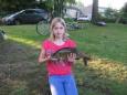 IMG 1274 (Small)