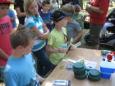 IMG 1431 (Small)