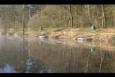 Afbeelding 010 (Small)