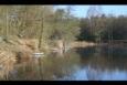 Afbeelding 012 (Small)