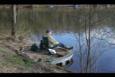 Afbeelding 034 (Small)