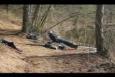 Afbeelding 042 (Small)