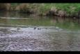 IMG 8343 (Small)