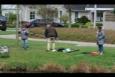 IMG 8350 (Small)