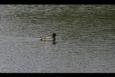 IMG 8353 (Small)