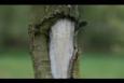 IMG 8362 (Small)