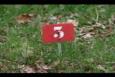 IMG 8365 (Small)
