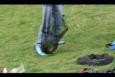 IMG 8369 (Small)