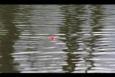 IMG 8372 (Small)