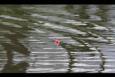 IMG 8373 (Small)