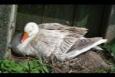 IMG 8379 (Small)