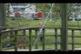 IMG 8383 (Small)