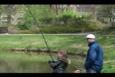IMG 8390 (Small)