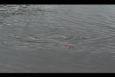 IMG 8396 (Small)