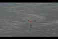 IMG 8397 (Small)