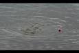 IMG 8398 (Small)