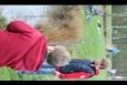 IMG 8399 (Small)