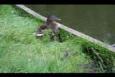 Jeugdcompetitie 12-06-2013 023 (Small)
